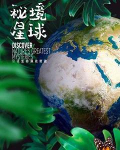 小猫钓鱼正版下载中文版